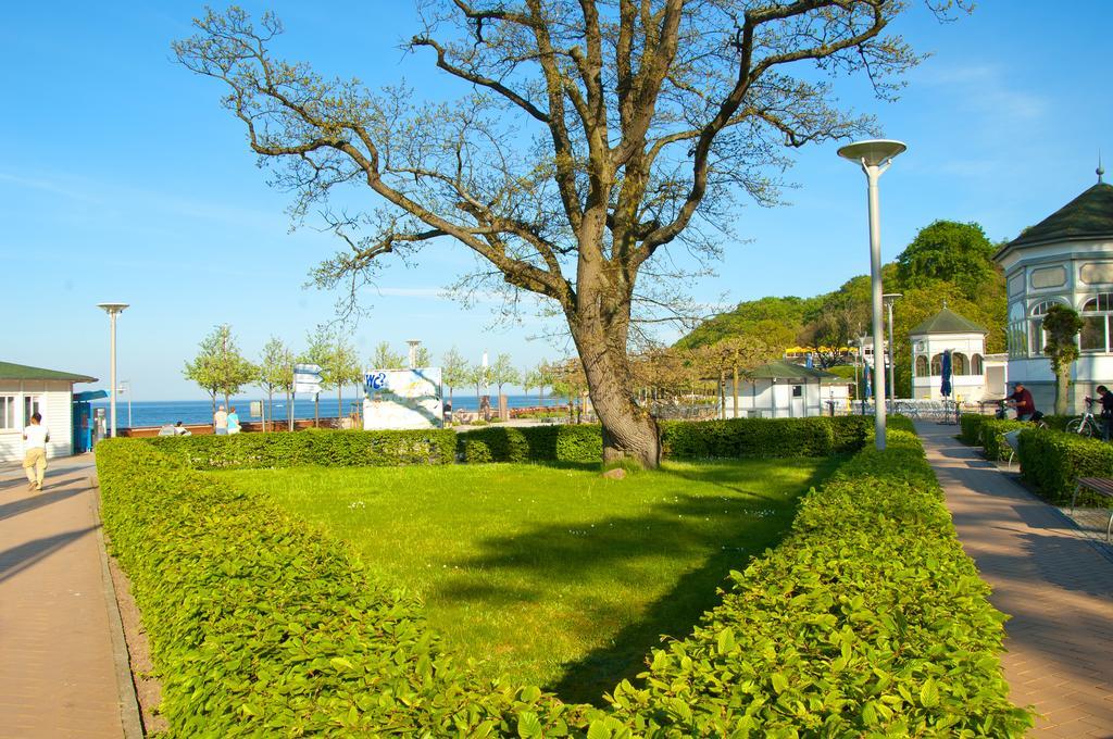 Ferien Unterm Reetdach In Gohren Otel Goehren  Dış mekan fotoğraf